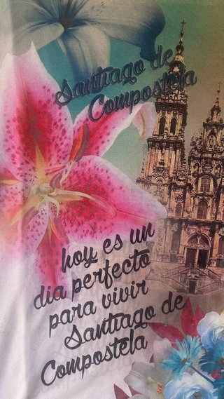 Camiseta Camino de Santiago Manga Corta