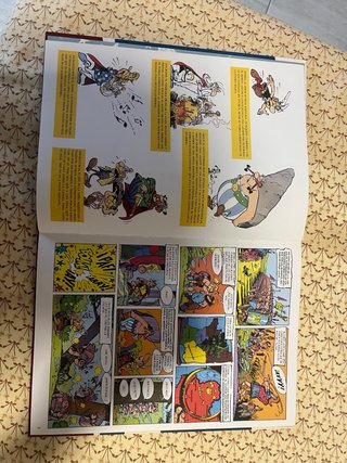 Astérix el galo
