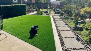 Servicio de Jardinería y Césped Artificial