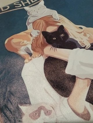 Lámina Lienzo Gatos vintage 30,5 x 42,5 cm