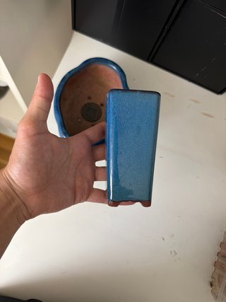 Maceta bonsai cerámica azul reparada+ regalo