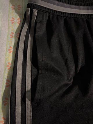Pantaloncini Allenamento Benfica Adidas