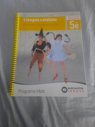 Llengua catalana, 5è Educació Primària Programa...