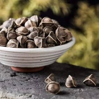 250 Semillas Moringa Oleífera Ecológicas