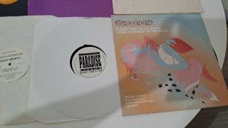 Lotto 20 Vinili House Dance & Electro anni 90