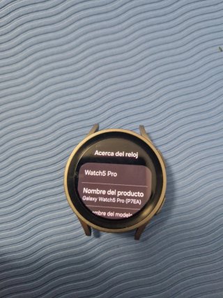 Samsung Galaxy Watch5 Pro 45mm Titanio 2WP7EA