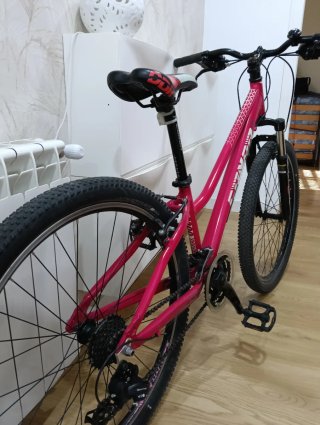 Bicicleta de Montaña Rosa
