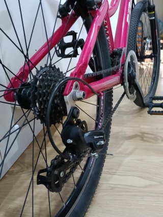 Bicicleta de Montaña Rosa