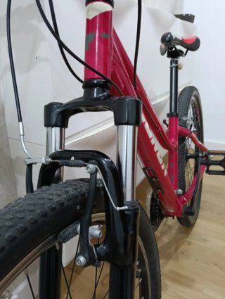 Bicicleta de Montaña Rosa