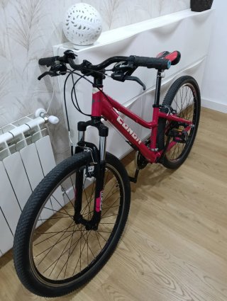 Bicicleta de Montaña Rosa