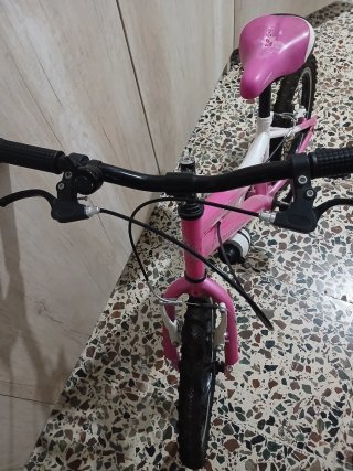 2 Bicicletas Infantiles 16 Pulgadas