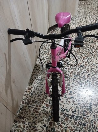 2 Bicicletas Infantiles 16 Pulgadas