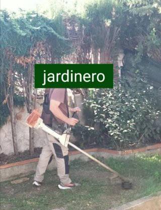 Limpieza de parcelas jardinero profesional