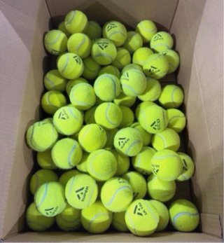 Lote 62 Pelotas de Pádel Alas