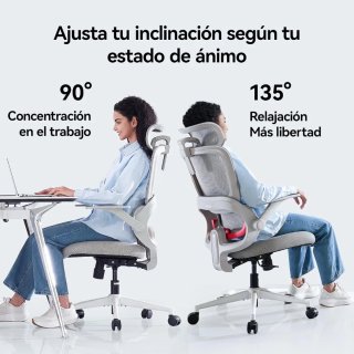 SIHOO Silla Oficina Ergonómica B100-SE Gris