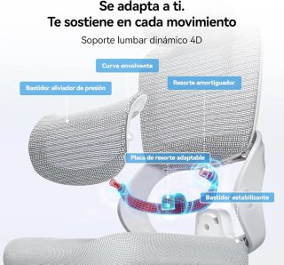 SIHOO Silla Oficina Ergonómica B100-SE Gris