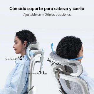 SIHOO Silla Oficina Ergonómica B100-SE Gris