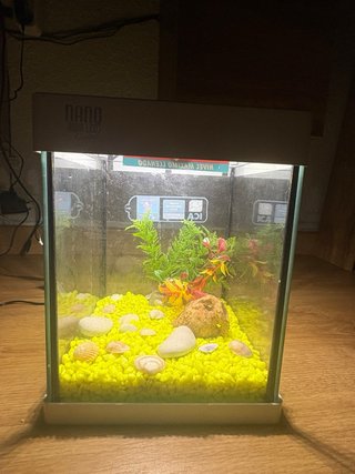 Acuario Nano con luces LED y decoración