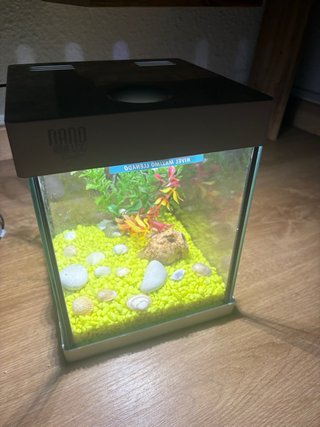 Acuario Nano con luces LED y decoración