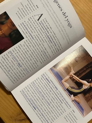 Libro Yoga para principiantes, Sally Parkes