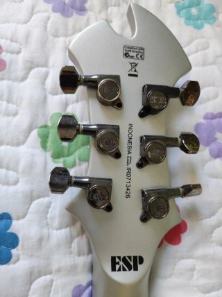 ESP LTD AX-50 Silver Satin Guitarra