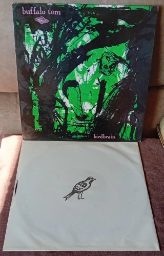 BUFFALO TOM Birdbrain LP