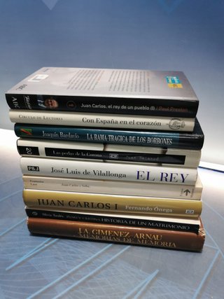 lote 9 libros sobre EL REY, memorias de memoria y mas