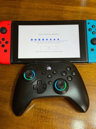 Mando Nintendo Switch ECHTPOWER