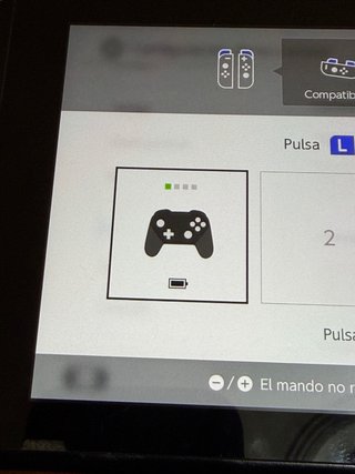 Mando Nintendo Switch ECHTPOWER