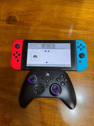 Mando Nintendo Switch ECHTPOWER