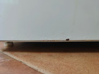 Frigorífico Beko 300 L – Funciona perfecto