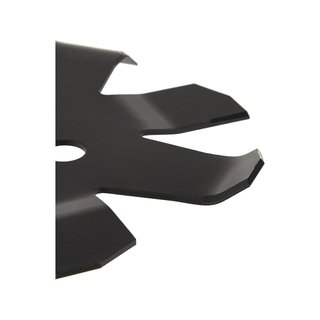 Avalon Pro disco 8 dientes zarzas