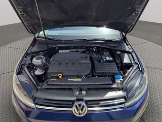 Volkswagen Golf Last Edition 1.6 TDI 85kW (115CV)