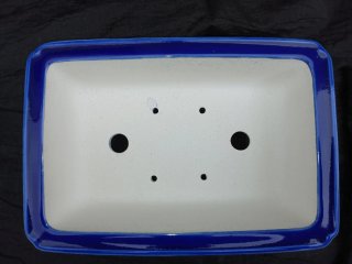 Maceta para Bonsái