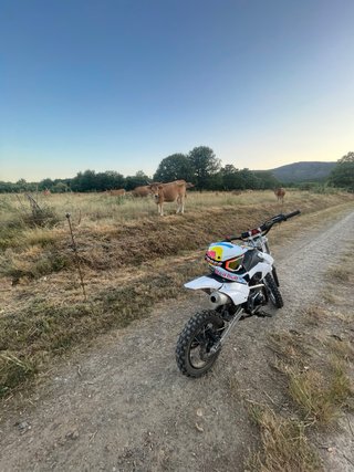 Pit Bike Motocross Blanca