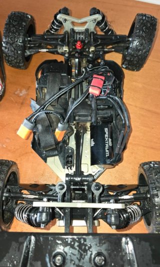Arrma Typhon TLR tuned
