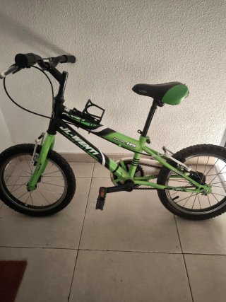 Bicicleta Infantil JL-WENTI Sport 16
