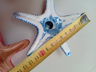 2 Stelle Marine Ceramica Blu Rosse