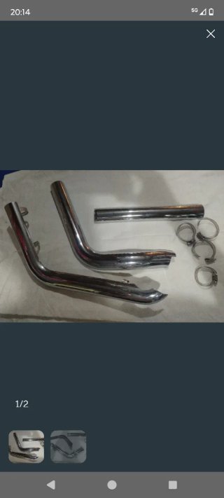 Paracalore Harley