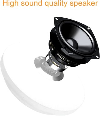 Luz LED techo con altavoz, mando y app