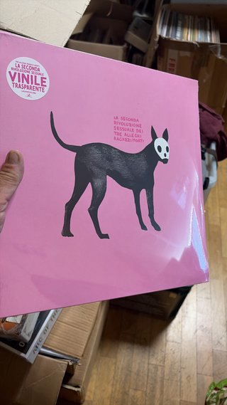 Vinile Trasparente La Seconda Rivoluzione Sessuale