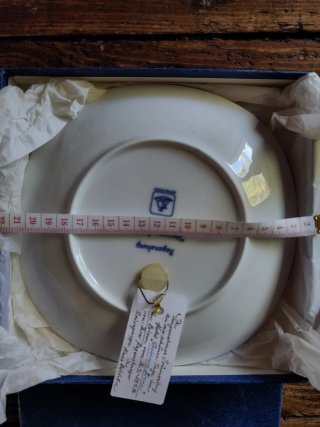 Piatto Muro Porcellana Blu Bianco