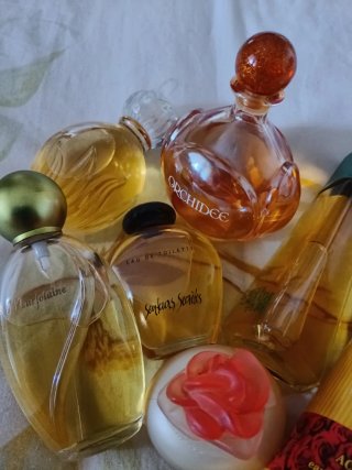 Lote de 7 perfumes.