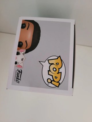 Funko Pop! Moana & Pua 213 Disney