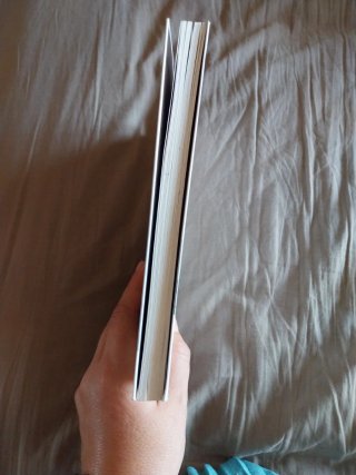 El complejo materno : sombra y máscaras del pat...