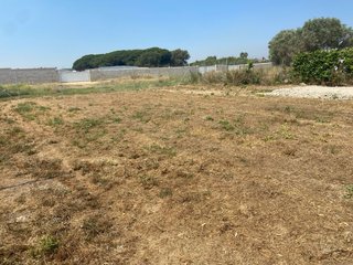 Parcela en Chiclana de la frontera cerca de playa