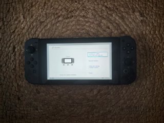 Mando NSwitch inspirado en Monster Hunter