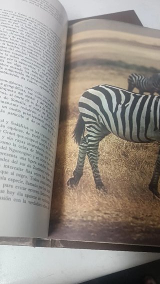 África, 2 tomos
