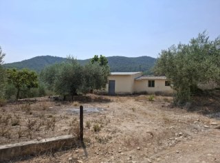 TERRENO CON VIVIENDA EN MORATALLA