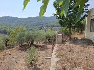 TERRENO CON VIVIENDA EN MORATALLA
